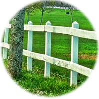 Fencing and Driveways